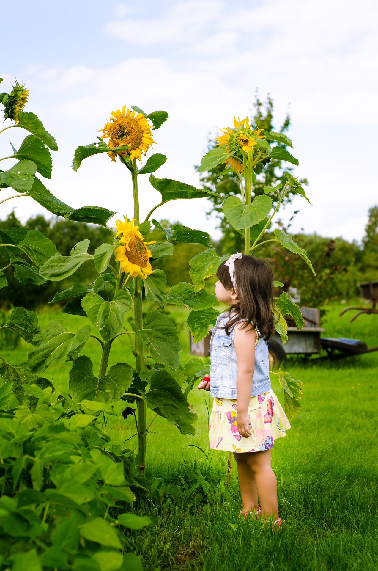 Unter den Mottos „Sonne im Garten“ und „Sonne im Herzen“ bietet Mephisto dieses Jahr zwei Mitmachaktionen an.